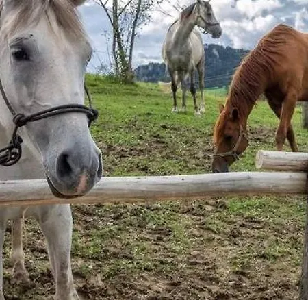 Pri Jazere 아파트 *