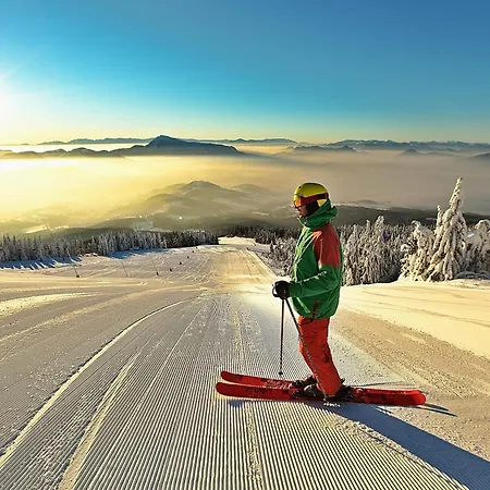 아파트 Pri Jazere Lestiny